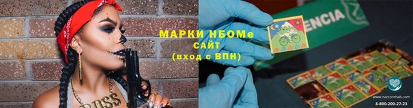 мдпв Богородск
