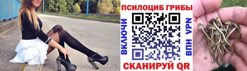 дарнет шоп  Калининград  Галлюциногенные грибы Magic Shrooms 